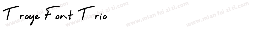 Troye Font Trio字体转换